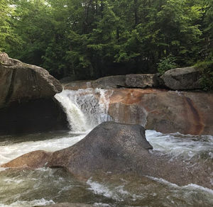 Meet your Posher, Alec